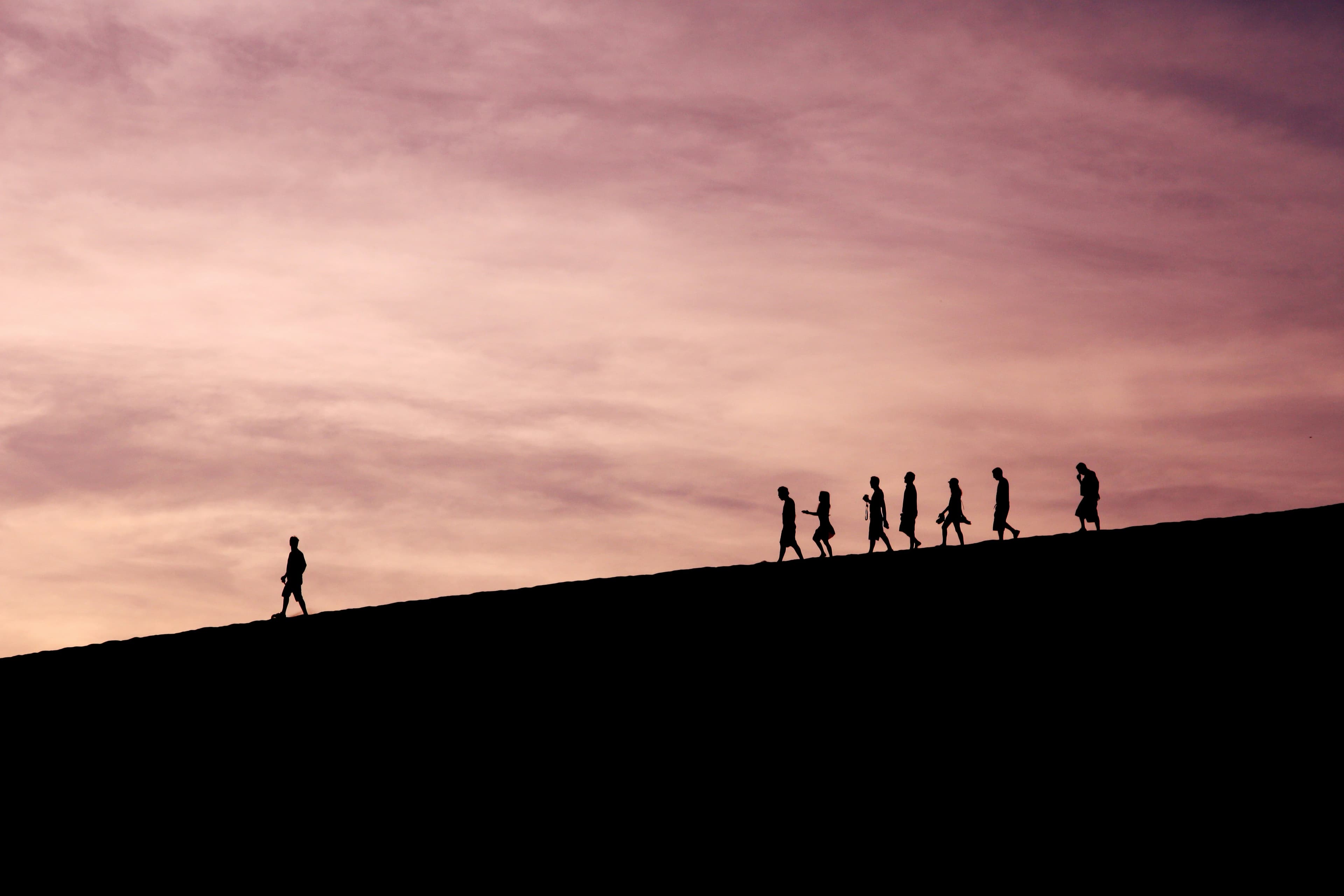 Fractional leadership